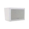 Wall Speaker