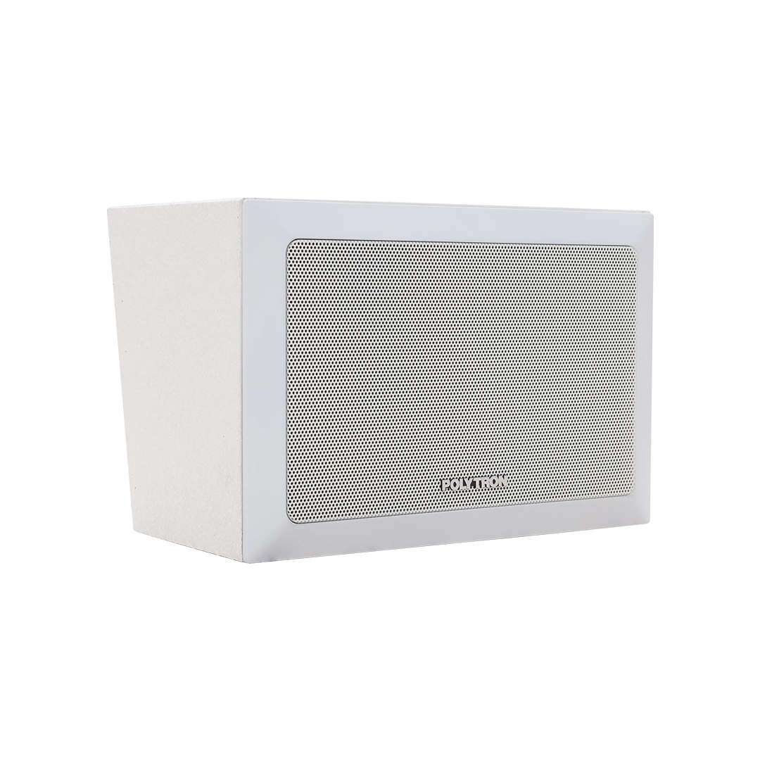 Wall Speaker