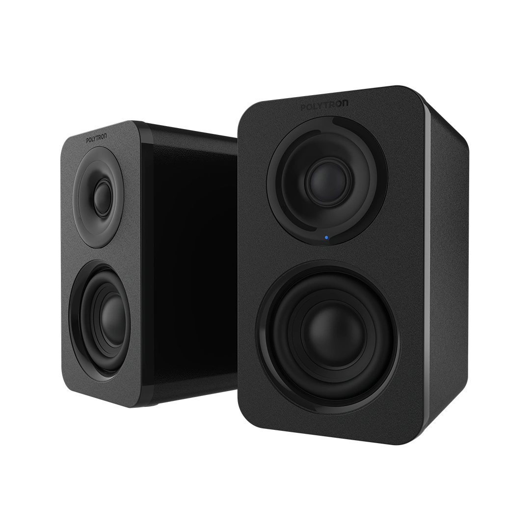 speaker hifi phs 5b